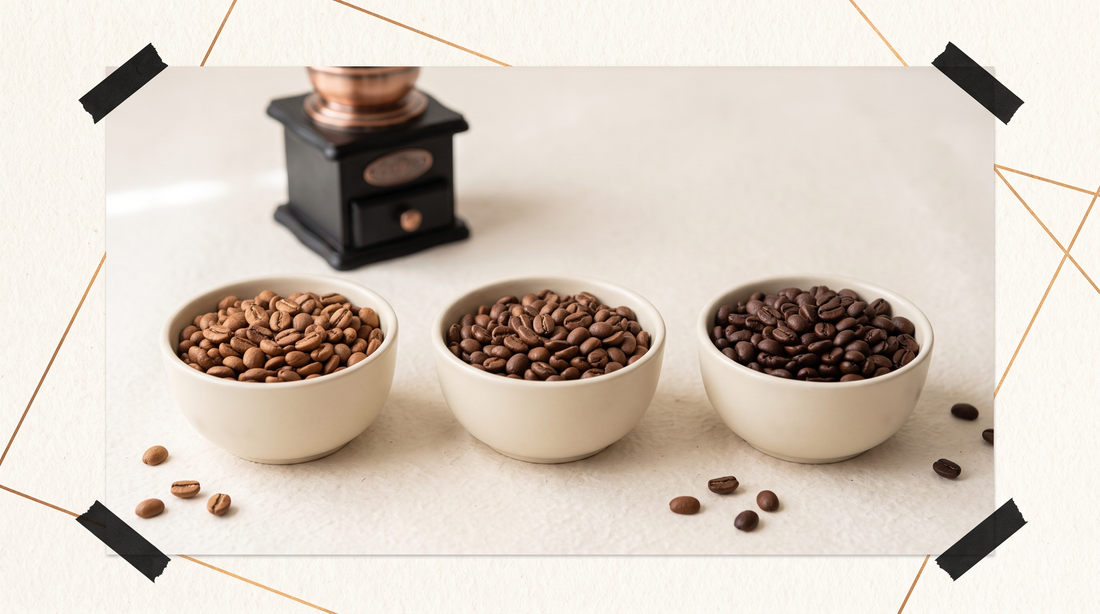 Drie kommen koffiebonen naast elkaar: light, medium en dark roast, met een handmolen op de achtergrond